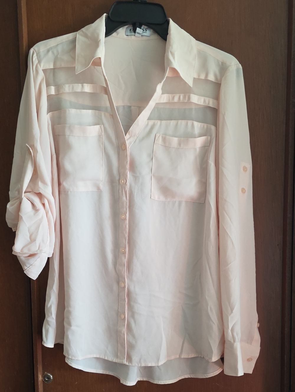 Express The Portofino Pale Pink Sheer Button-Front Blouse Sz L